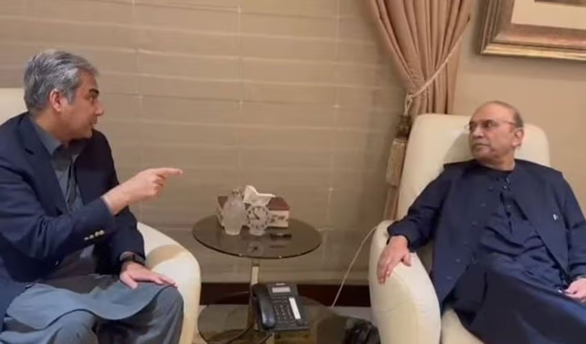 لندن میں صدر زرداری اور محسن نقوی کی اہم ملاقات، نئے صوبوں کی بحث پر موقف پر قائم رہنے کا عزم